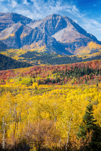 Vibrant autumn colors in Utah's Wasatch mountains