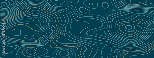 Abstract topographic contours map background. Topography lines and circles background. Topographic map Patterns, Topographic map and place for texture.  Vector illustration.