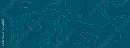 The stylized blue abstract topographic map with lines and circles background. Topographic map and place for texture. Topographic gradient linear background with copy space. Vector illustration.