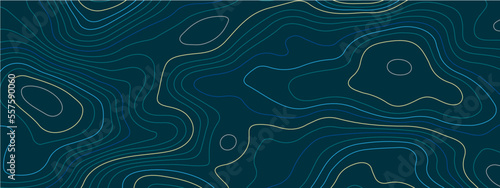 The stylized blue abstract topographic map with lines and circles background. Topographic map and place for texture. Topographic gradient linear background with copy space. Vector illustration.