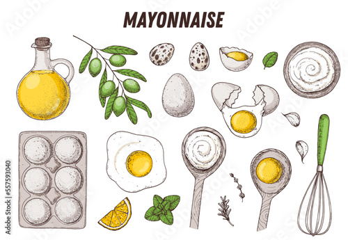 Mayonnaise sauce cooking and ingredients set. Hand drawn collection, vector illustration. Homemade mayonnaise sauce, design elements. Hand drawn package design. Oil and eggs.