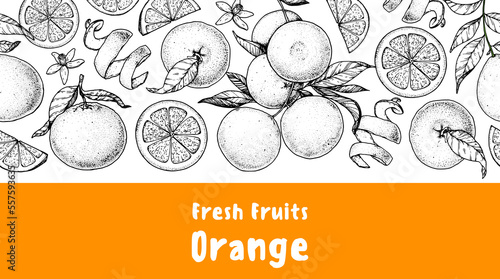 Orange fruit hand drawn design. Vector illustration. Design, package, brochure illustration. Orange fruit frame illustration. Design elements for packaging design and other.