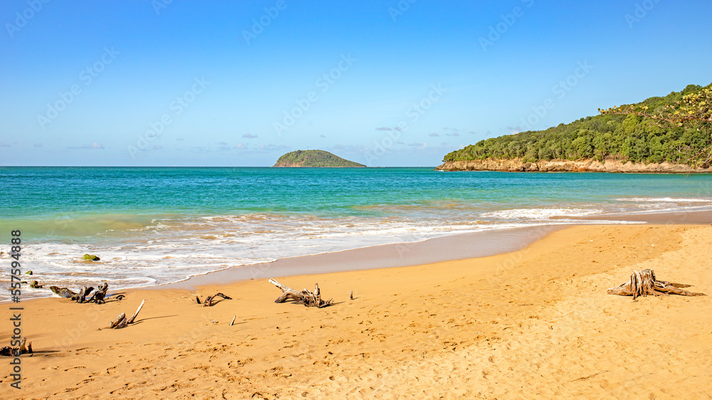 guadeloupe island caribbean beach and sun in atlantic ocean