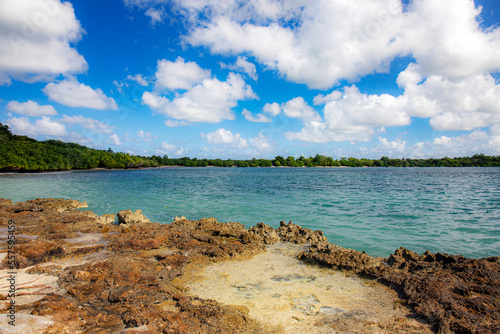 guadeloupe island caribbean beach and sun in atlantic ocean