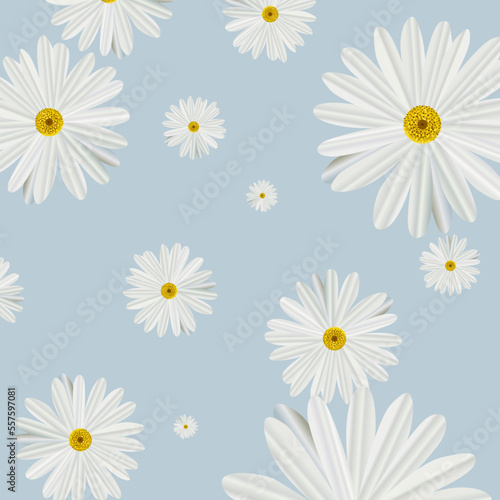Vector pattern with camomiles on isolated blue background.