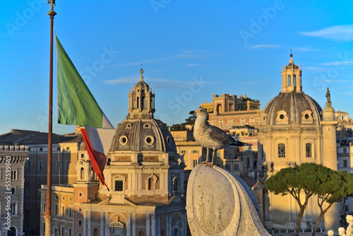 View at the Basilica Ulpia from Altare della Patria photo