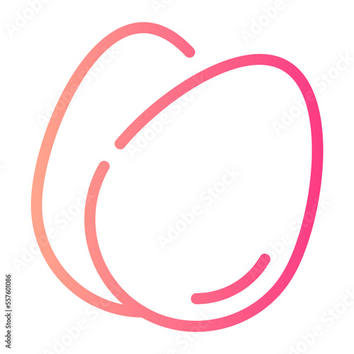 egg gradient icon