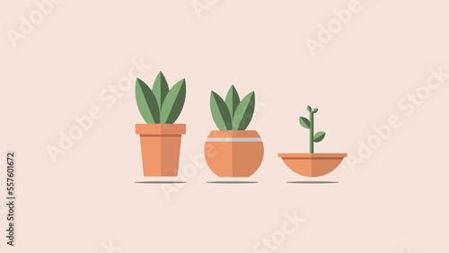 plat color green Plants pots vector illustration