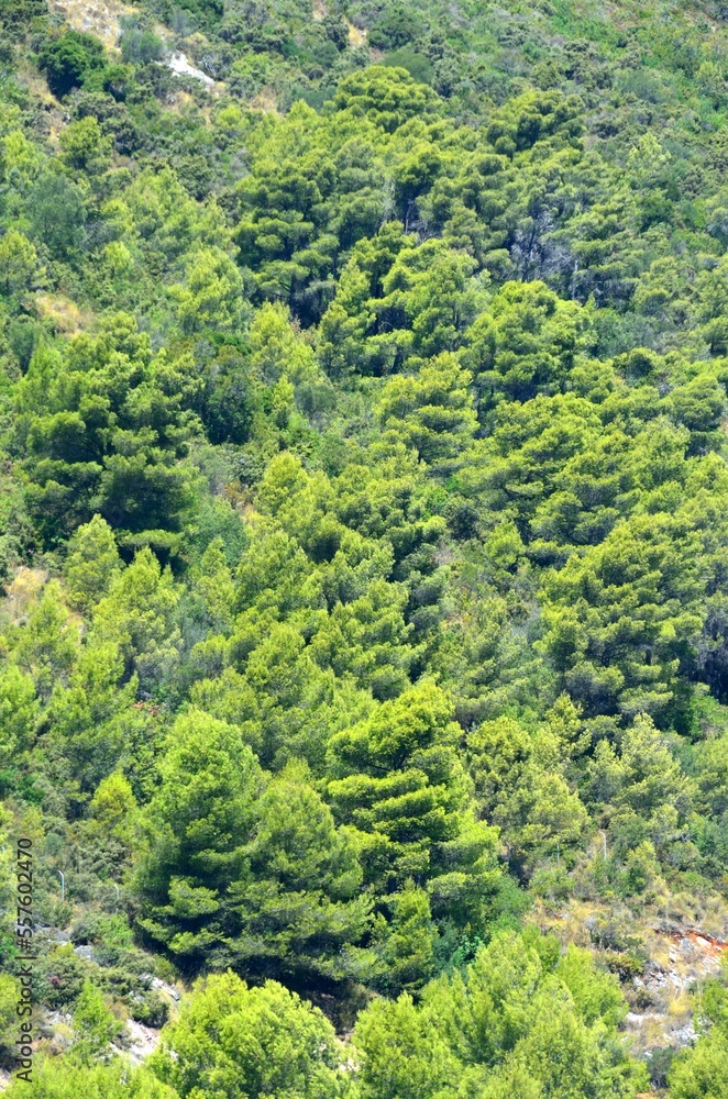 Fototapeta premium Sierra de Ojen, Malaga