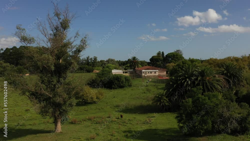 Aerial view of school with soccer field surrounded by trees and houses Aerial view of school with soccer field surrounded by trees and houses