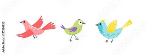 Bird colorful set. Flying bird. Little bird  nestling  chick. Spring  easter. Flat  cartoon  isolated 