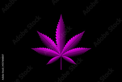 Vector illustration of marijuana leaf, cannabis plant used for medicinal purposes