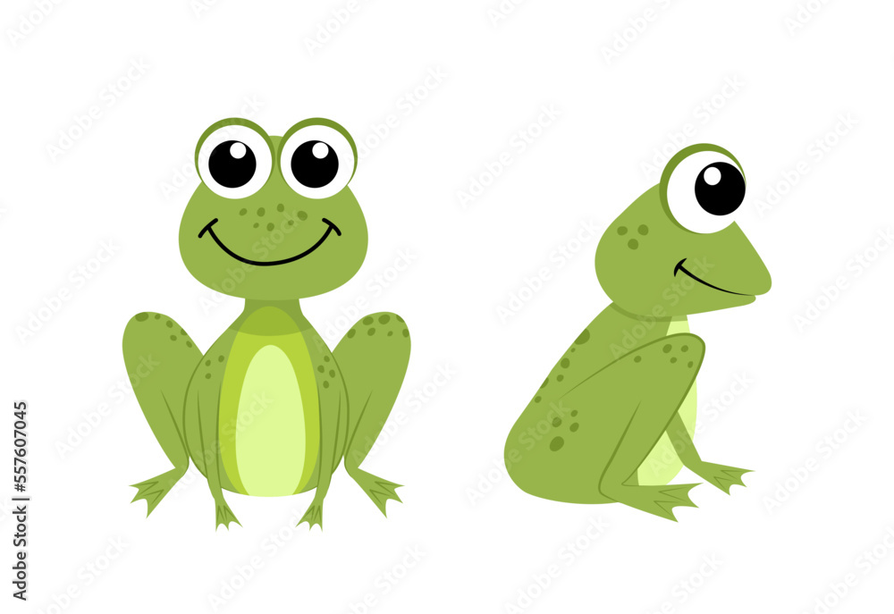 Frogs. Funny frogs in full face and half face. Flat, cartoon, vector Frogs. Funny frogs in full face and half face. Flat, cartoon, vector