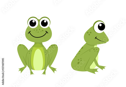 Frogs. Funny frogs in full face and half face. Flat, cartoon, vector