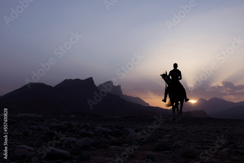 picture of a knight riding his horse in a beautiful sunset 