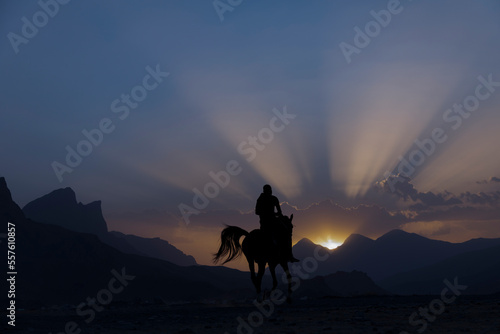 picture of a knight riding his horse in a beautiful sunset 