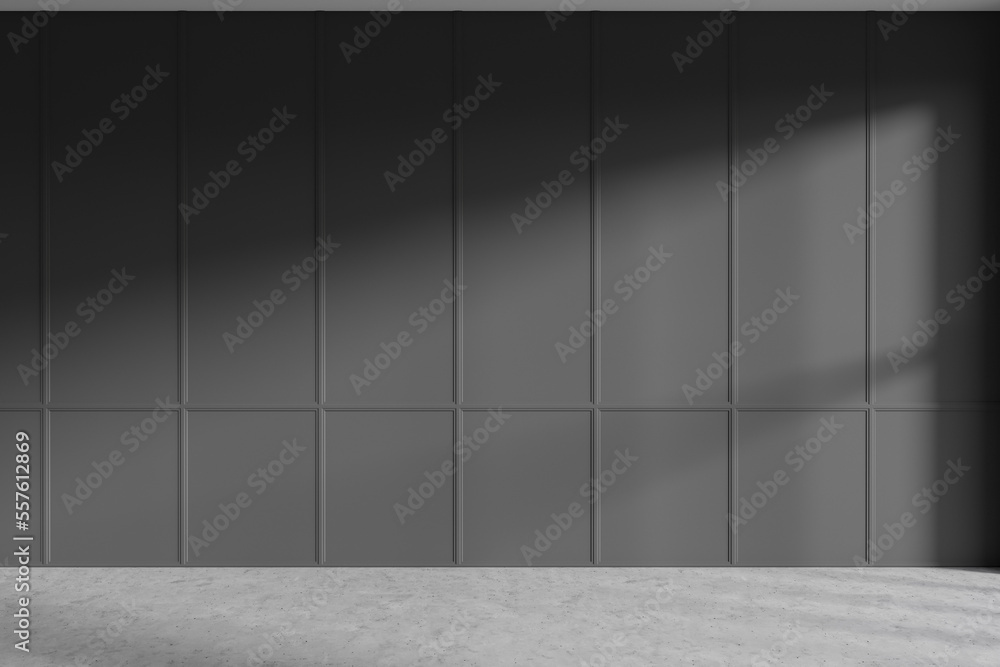 Dark empty room interior with empty grey wall, concrete floor Dark empty room interior with empty grey wall, concrete floor