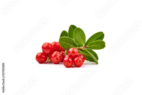 Lingonberry with leaves, isolated on white background.