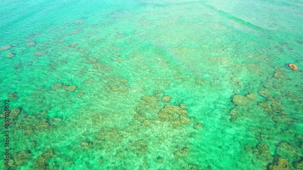 Crystal-clear waters shows the of many dead corals on the seafloor. Degraded marine ecosystems, caused by natural disasters and human behavior. Tropical sea, Phang Nga, Thailand. Aerial view. drone.
Crystal-clear waters shows the of many dead corals on the seafloor. Degraded marine ecosystems, caused by natural disasters and human behavior. Tropical sea, Phang Nga, Thailand. Aerial view. drone.