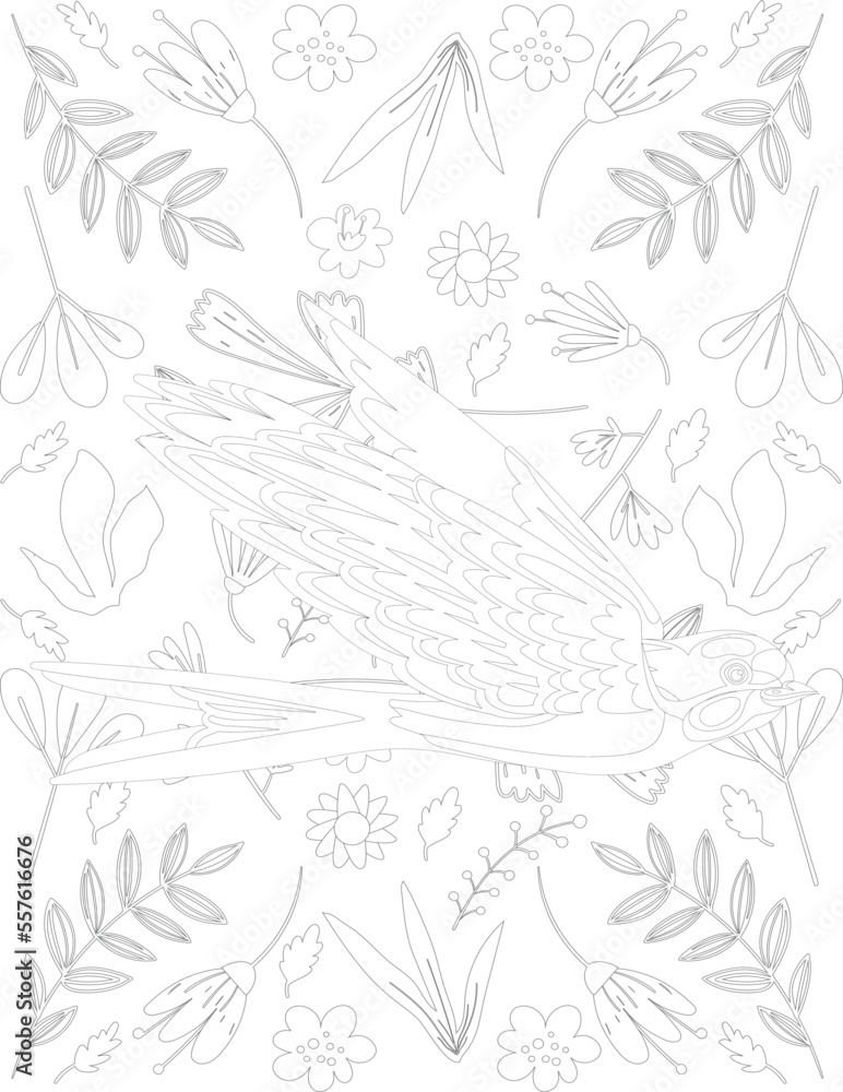 Bird Coloring Page, Bird Vector, Bird White and Black, Bird Coloring