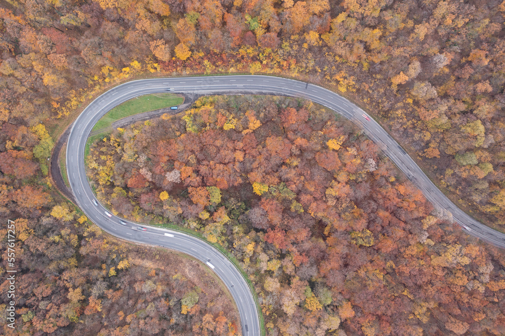 Curvy road with autumn forest