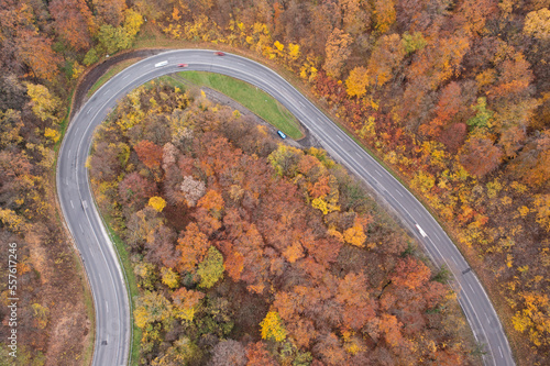 Fototapeta Naklejka Na Ścianę i Meble -  Curvy road with autumn forest