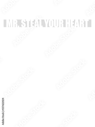 mr steal your heart 