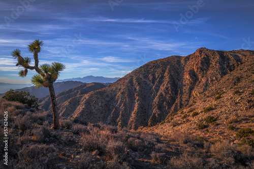 Joshua Tree National Park Landscape Series, Keys View summit at sunset, a high viewpoint with palm trees, Indio Hills, and mountains in Southern California, USA