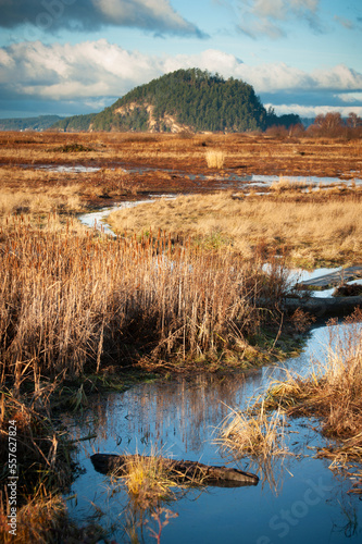 Skagit Bay Estuary With Craft island in the Background, Skagit Valley, Washington. Birds are plentiful in the estuary, and a muddy trail makes for an adventurous day out hiking to Craft Island.