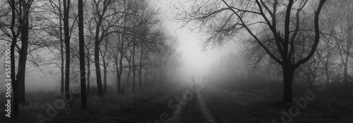 Silhouette of the man walking down the road on a misty winter day