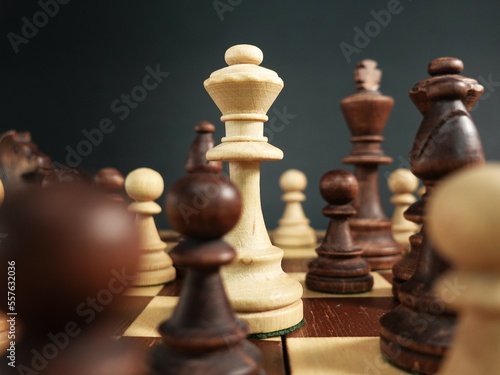 The white queen stands among other chess pieces. The concept of a chess game. Chess pieces in close-up with perspective and depth of field blurring