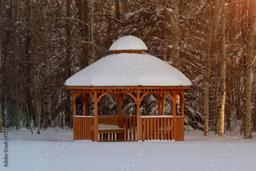 Fototapet Wooden arbour in the winter forest in snow and warm light.