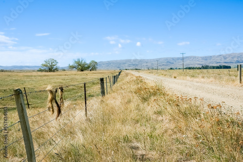 Country road leading into distance and fence with remains old animal skin.