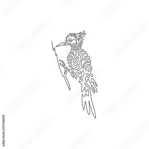 Single swirl continuous line drawing of cute woodpecker abstract art. Continuous line draw graphic design vector illustration style of birds may also drill holes in trees for icon, sign, wall decor