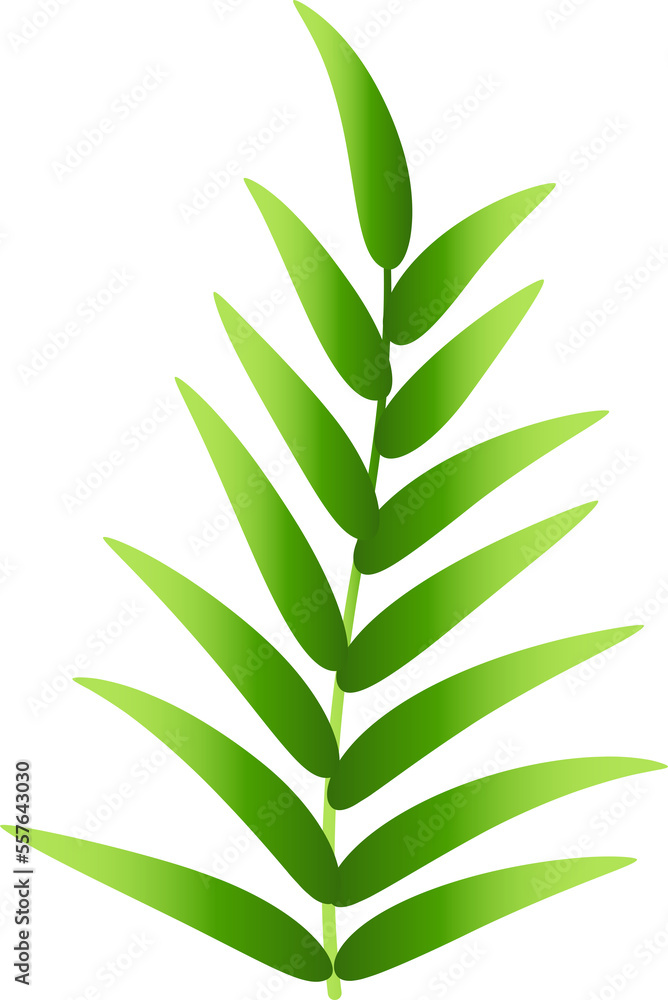 Natural green herb leaves