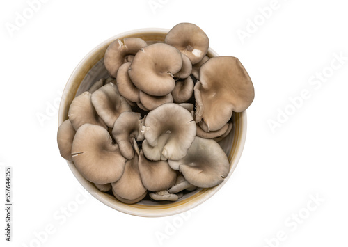 Isolated organic Oyster mushroom in a bowl on white background, organic fresh Oyster mushroom, top view image, studio shot.