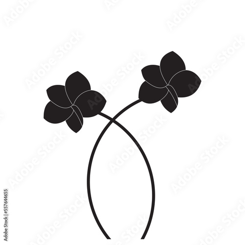 Luxurious black and white frangipani flowers, suitable for use in all fields related to nature, especially plants