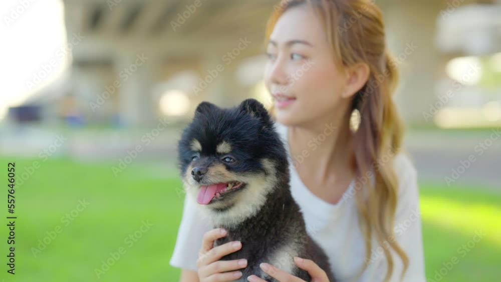 Happy young asian woman playing and sitting on grass in the park with her dog. Pet lover concept Happy young asian woman playing and sitting on grass in the park with her dog. Pet lover concept