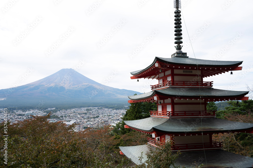 Mt Fuji and pagoda