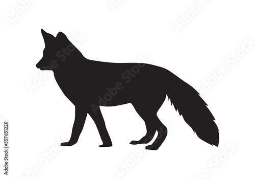 Red Fox silhouette vector isolated. Omnivorous mammal or wild animal.