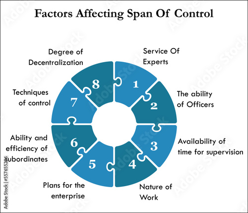 Eight Factors affecting Span of Control in an Infographic template