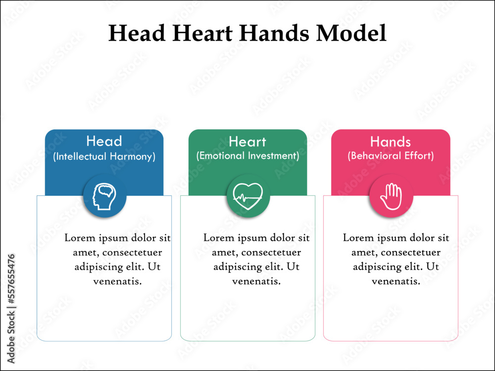 Head Heart Hands Model with Icons in an Infographic template