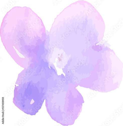 Watercolor Floral Background with Hand Painted Flowers. Spring Floral