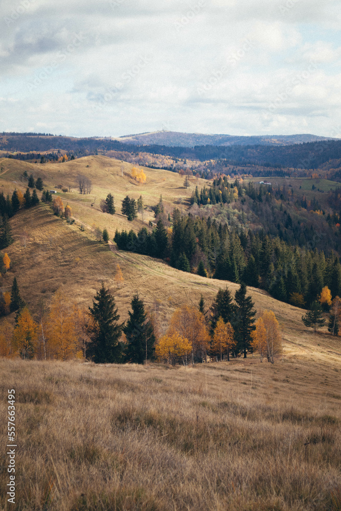 Ukrainian Carpathian Mountains During Fall Ukrainian Carpathian Mountains During Fall