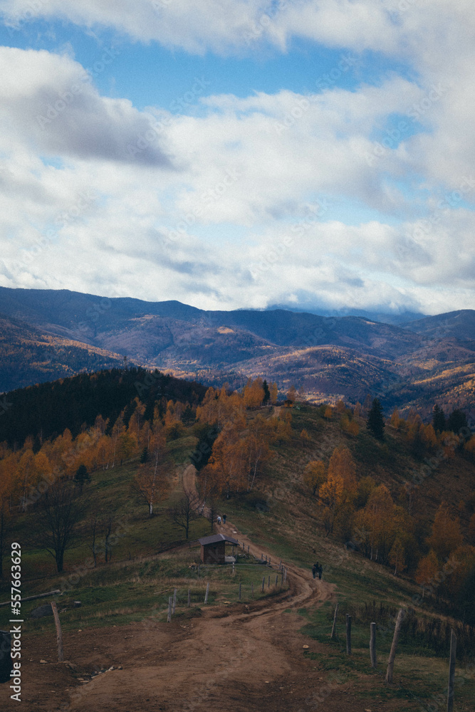 Ukrainian Carpathian Mountains During Fall