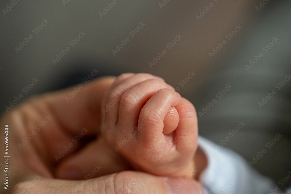 Baby hand holding adult finger, family relationship with daughter Baby hand holding adult finger, family relationship with daughter