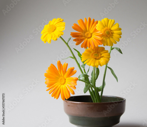 Bouquet of marigold flowers in vase. Elegant arrangement of orange and yellow garden flowers on neutral background.