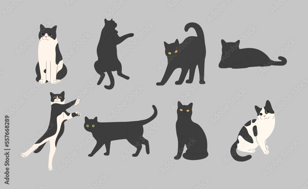 black cat cute 5 on a gray background, vector illustration.