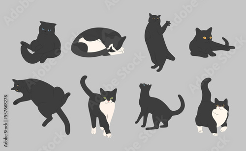 black cat cute 3 on a gray background, vector illustration.