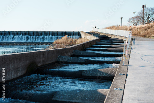 京王多摩川河川敷の魚道